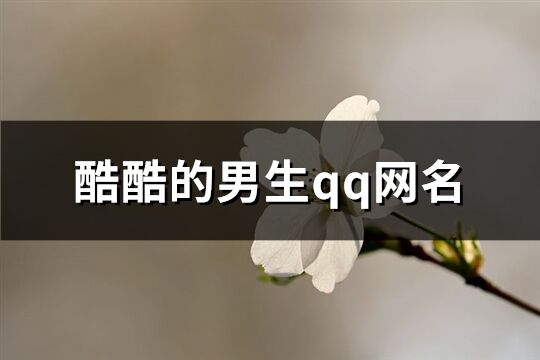 酷酷的男生qq网名(共215个)