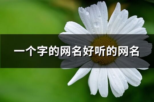 一个字的网名好听的网名(共376个)