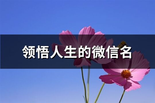 领悟人生的微信名(精选222个)