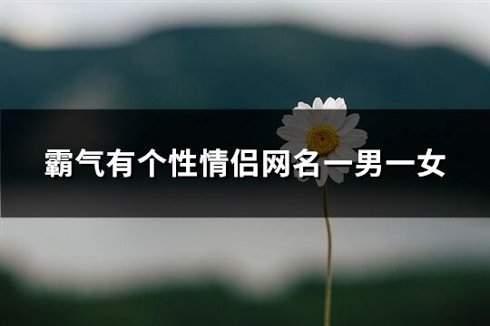 霸气有个性情侣网名一男一女(79个)