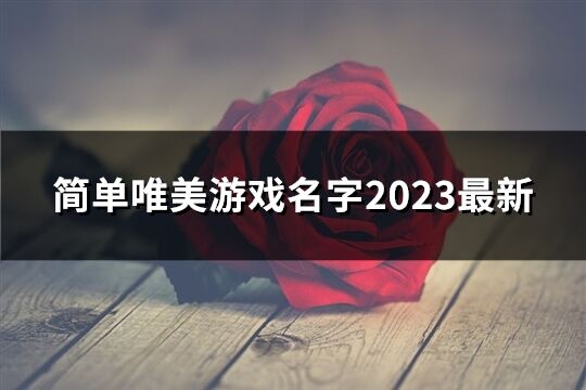 简单唯美游戏名字2023最新(72个)