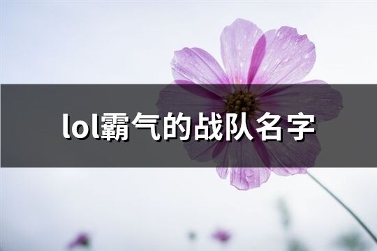 lol霸气的战队名字(229个)