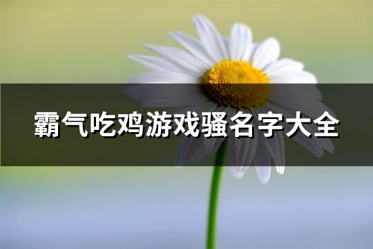 霸气吃鸡游戏骚名字大全(194个)