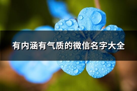 有内涵有气质的微信名字大全(共1008个)