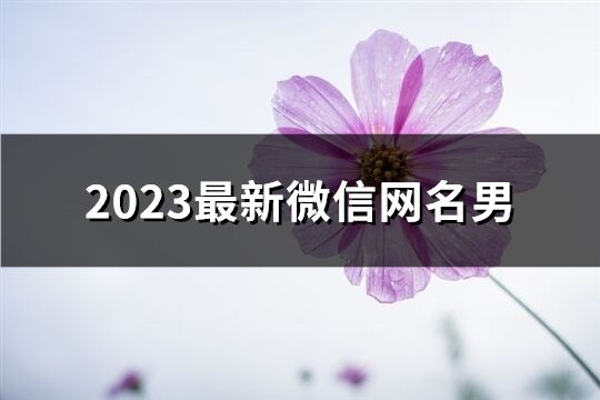 2023最新微信网名男(精选3977个)