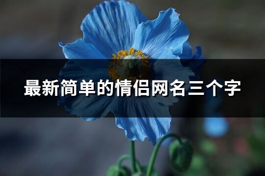 最新简单的情侣网名三个字(293个)