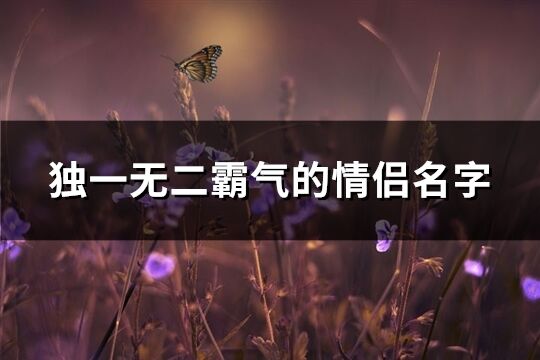 独一无二霸气的情侣名字(精选122个)