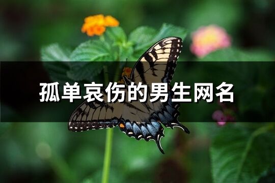 孤单哀伤的男生网名(精选512个)