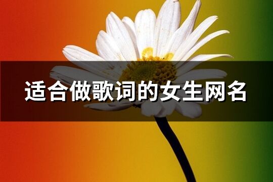 适合做歌词的女生网名(共219个)