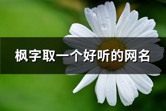 枫字取一个好听的网名(共81个)