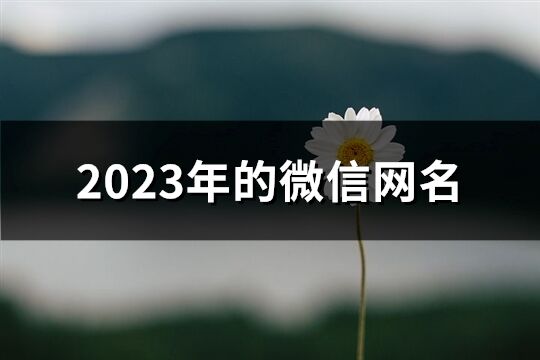 2023年的微信网名(共1161个)