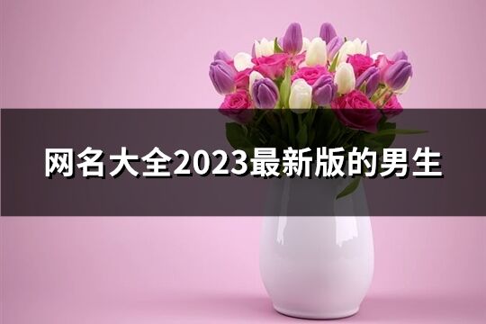 网名大全2023最新版的男生(精选788个)