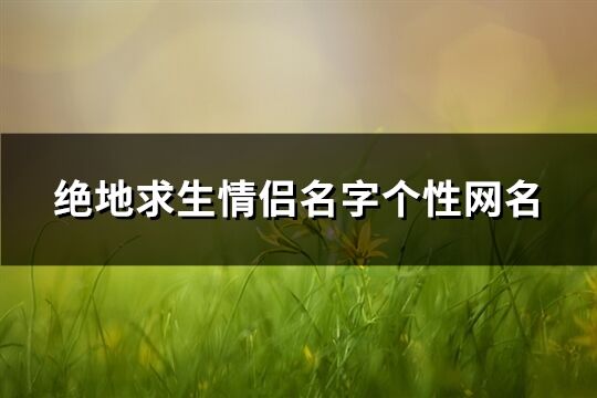 绝地求生情侣名字个性网名(共66个)