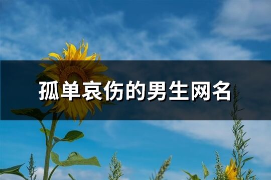 孤单哀伤的男生网名(共298个)