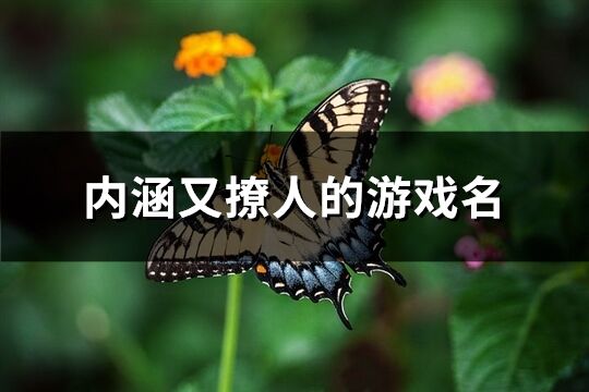 内涵又撩人的游戏名(共618个)