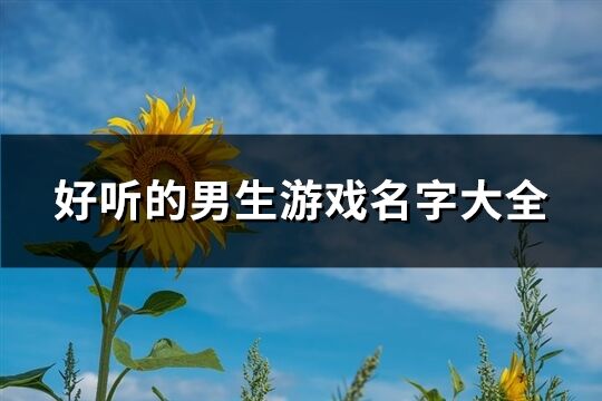 好听的男生游戏名字大全(共162个)