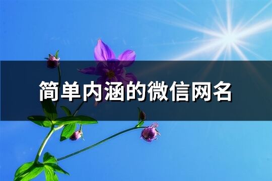 简单内涵的微信网名(精选742个)