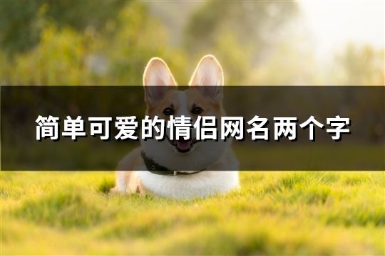 简单可爱的情侣网名两个字(60个)