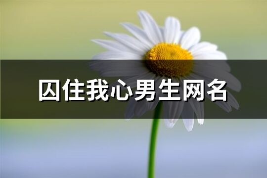 囚住我心男生网名(297个)