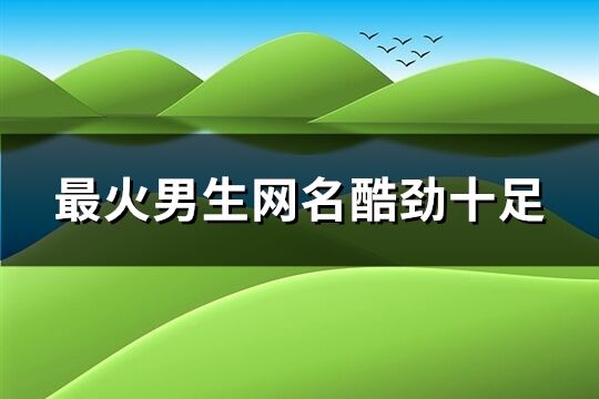 最火男生网名酷劲十足(443个)