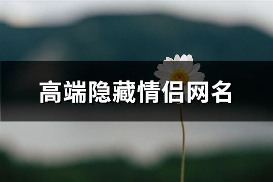 高端隐藏情侣网名(76个)