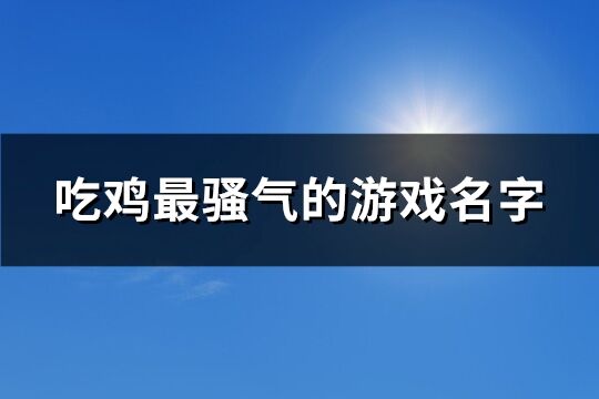 吃鸡最骚气的游戏名字(299个)