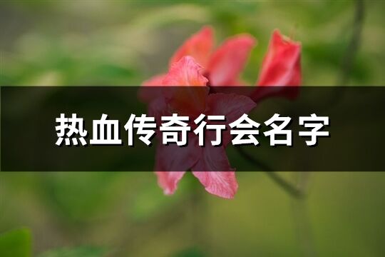 热血传奇行会名字(共263个)