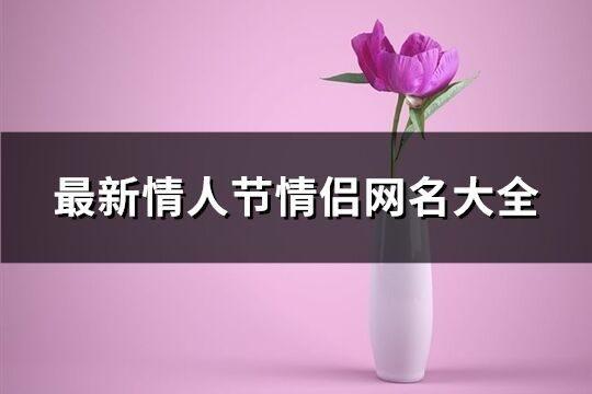 最新情人节情侣网名大全(共218个)