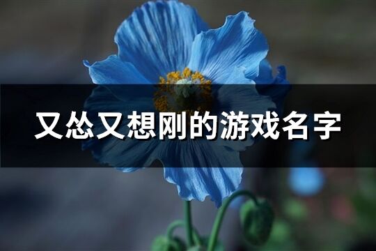 又怂又想刚的游戏名字(共178个)