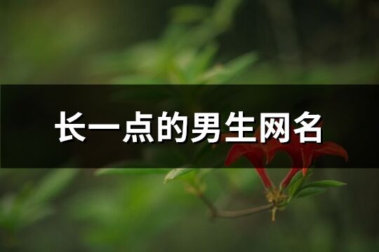 长一点的男生网名(137个)