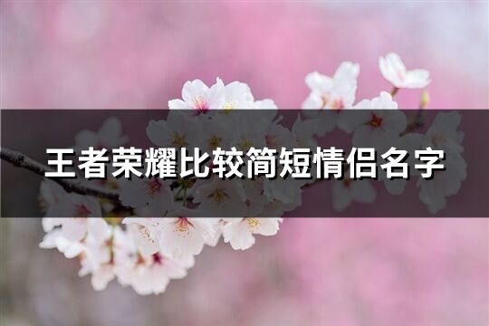 王者荣耀比较简短情侣名字(共294个)