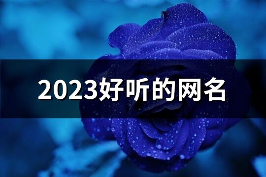 2023好听的网名(精选1211个)