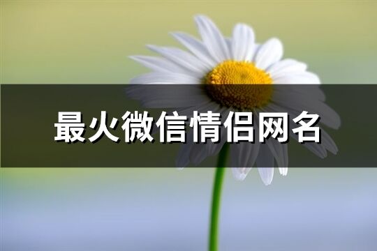 最火微信情侣网名(共781个)