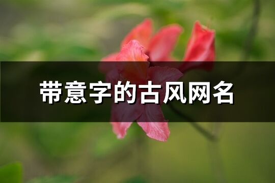 带意字的古风网名(共110个)