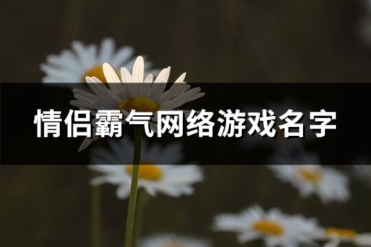 情侣霸气网络游戏名字(精选113个)