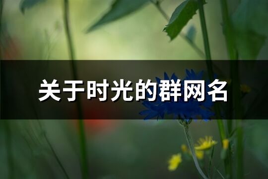 关于时光的群网名(共158个)