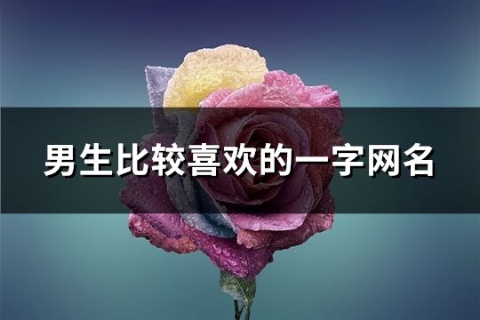 男生比较喜欢的一个字网名(精选293个)