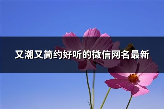 又潮又简约好听的微信网名最新(共281个)