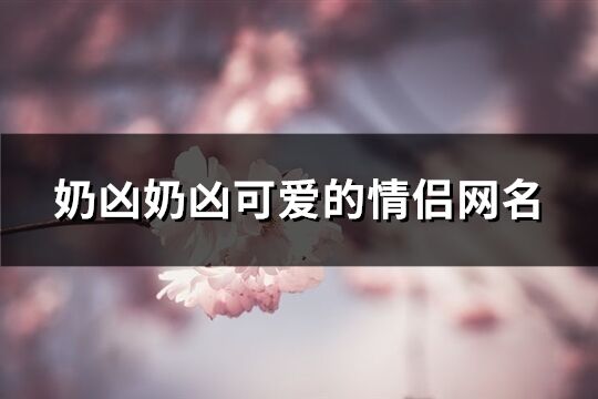 奶凶奶凶可爱的情侣网名(共74个)