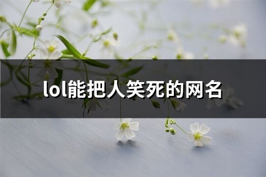 lol能把人笑死的网名(425个)