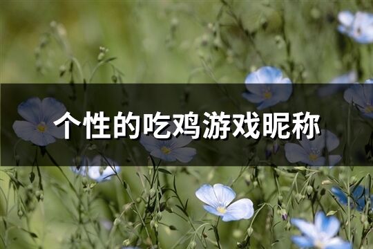 个性的吃鸡游戏昵称(共255个)