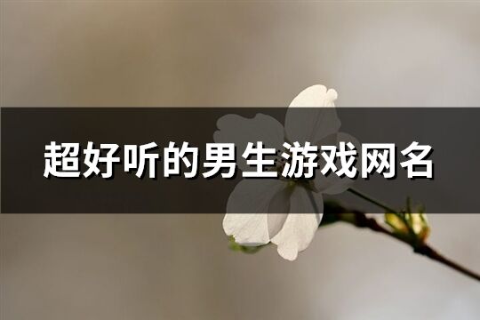 超好听的男生游戏网名(110个)