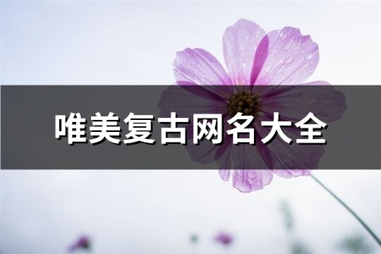 唯美复古网名大全(共516个)