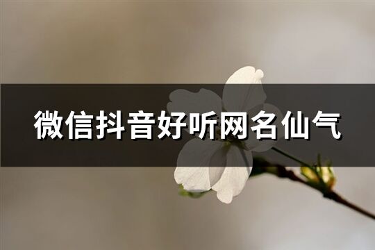 微信抖音好听网名仙气(精选848个)