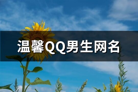 温馨QQ男生网名(共675个)