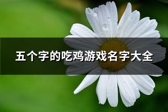 五个字的吃鸡游戏名字大全(共465个)