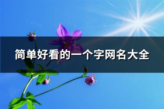 简单好看的一个字网名大全(共212个)