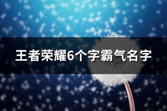 王者荣耀6个字霸气名字(共446个)