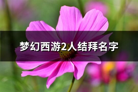 梦幻西游2人结拜名字(共68个)