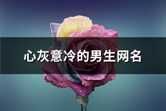 心灰意冷的男生网名(共218个)